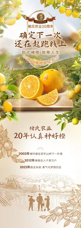 褚橙褚时健励志橙 食品详情页设计