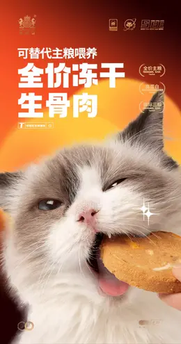 耐威克生骨肉冻干猫咪零食 详情页设计