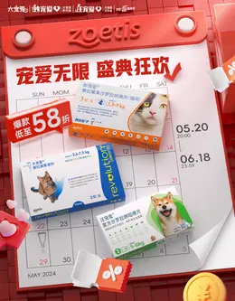 大宠爱 宠物用品 宠物医药 618大促活动海报kv设计
