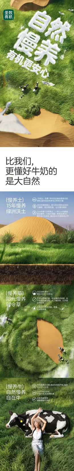 圣牧沙漠有机纯牛奶儿童牛奶详情页设计