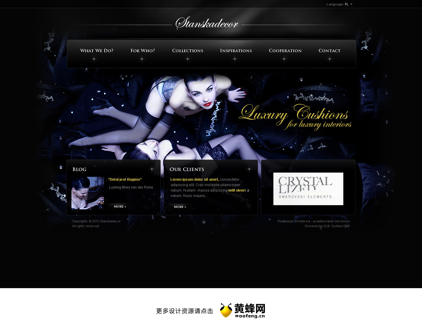 Stanskadecor高级时装网站设计截图