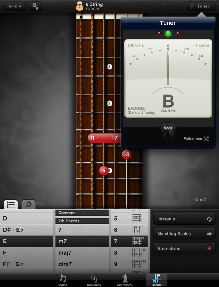 GuitarToolkit吉他工具iPad界面设计，来源自黄蜂网https://woofeng.cn/ipad/