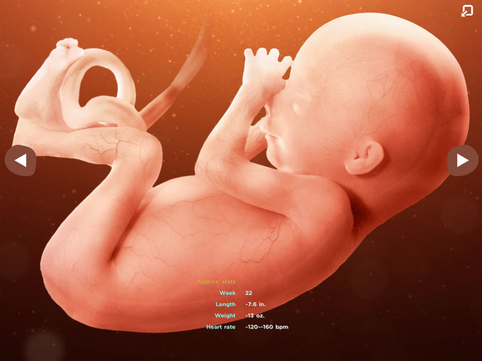帮宝适孕婴童日历iPad应用程序界面设计，来源自黄蜂网https://woofeng.cn/ipad/