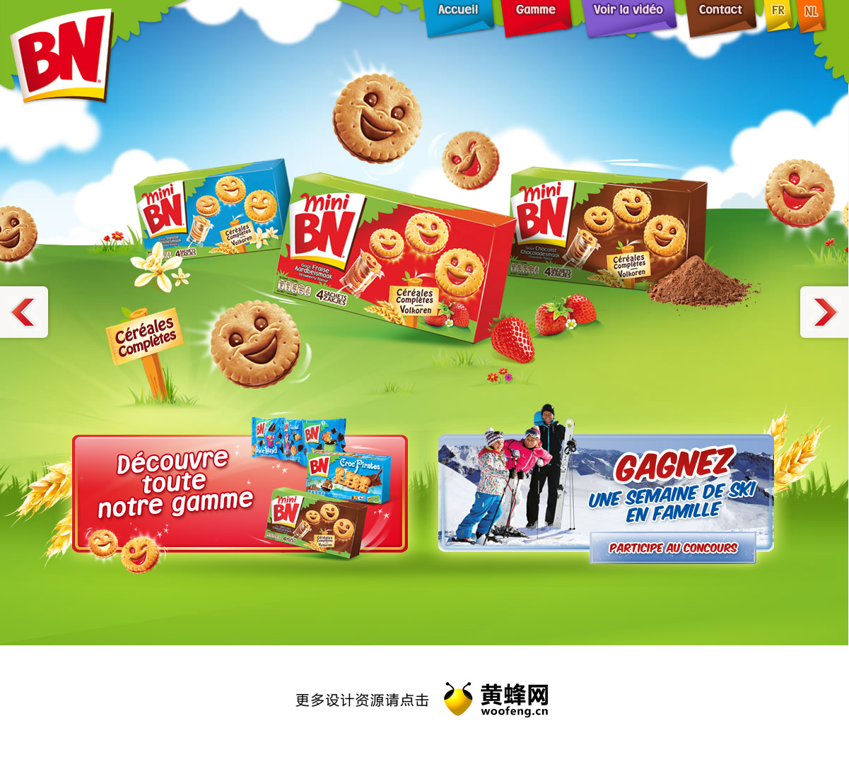 BN饼干网站，来源自黄蜂网https://woofeng.cn/web/