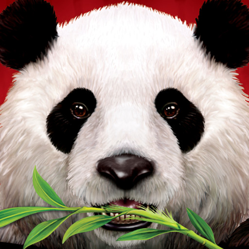 Wild Panda casino slot game，来源自黄蜂网https://woofeng.cn/