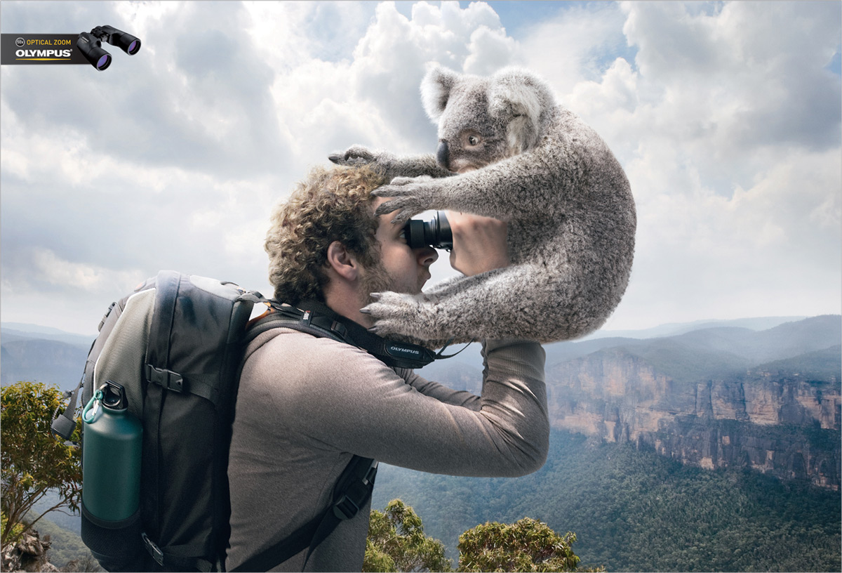 Viewing Koala奥林巴斯光学变焦创意广告，来源自黄蜂网https://woofeng.cn/