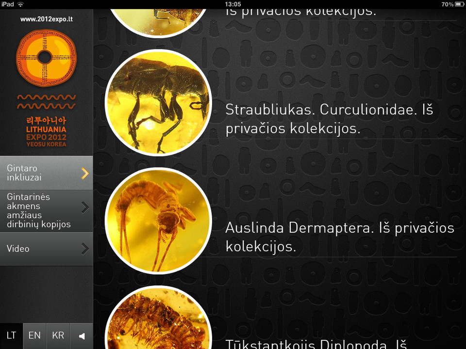 Lithuanian Ambers iPad商业应用，来源自黄蜂网https://woofeng.cn/